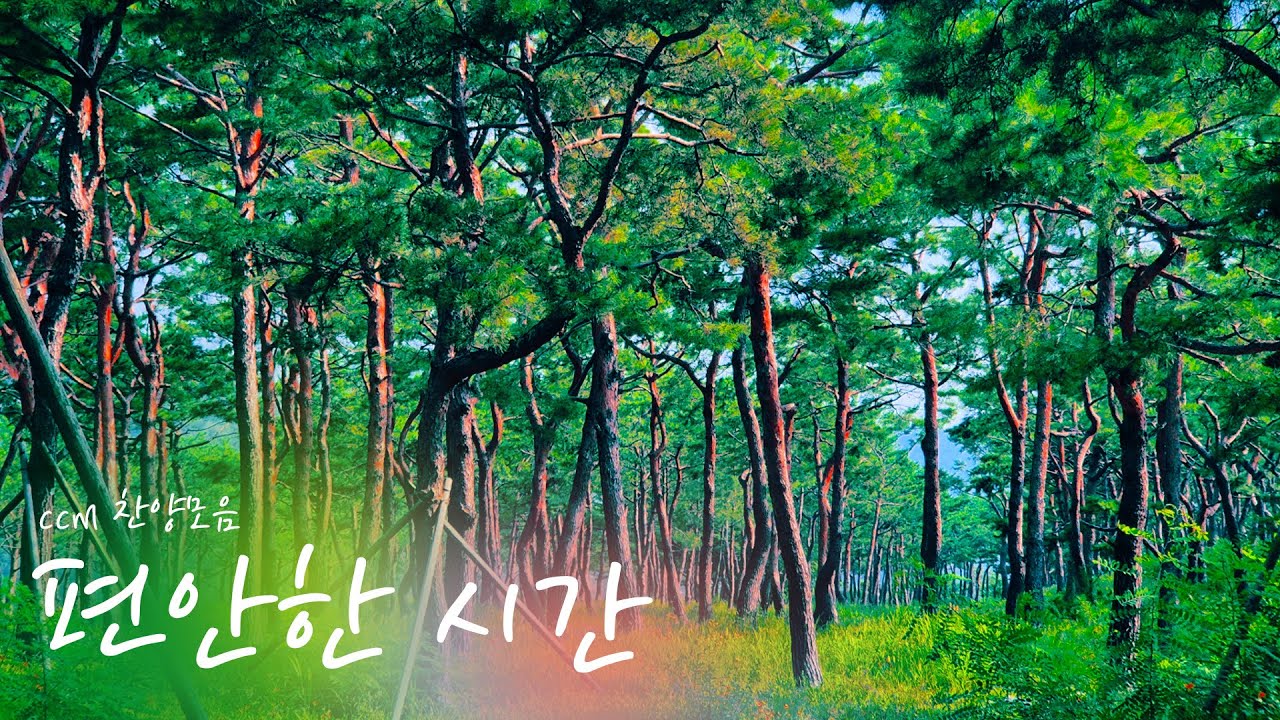 [영어 찬양 CCM] 영어 찬양 너무 오랜만이죠?! |  편안한 마음으로 들을 수 있는 영어 찬양 모음💚