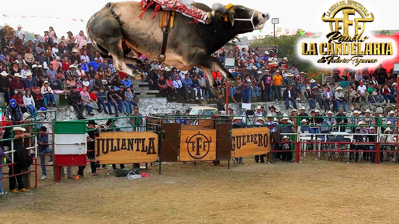 &iexcl;&iexcl;TOROS DE RANCHO LA CANDELARIA FFF!! JARIPEO EN POTRERILLOS MICHOACAN 2025