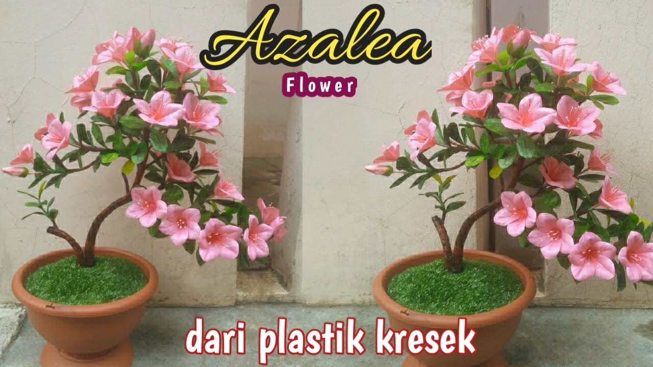 Bunga Azalea dari plastik kresek