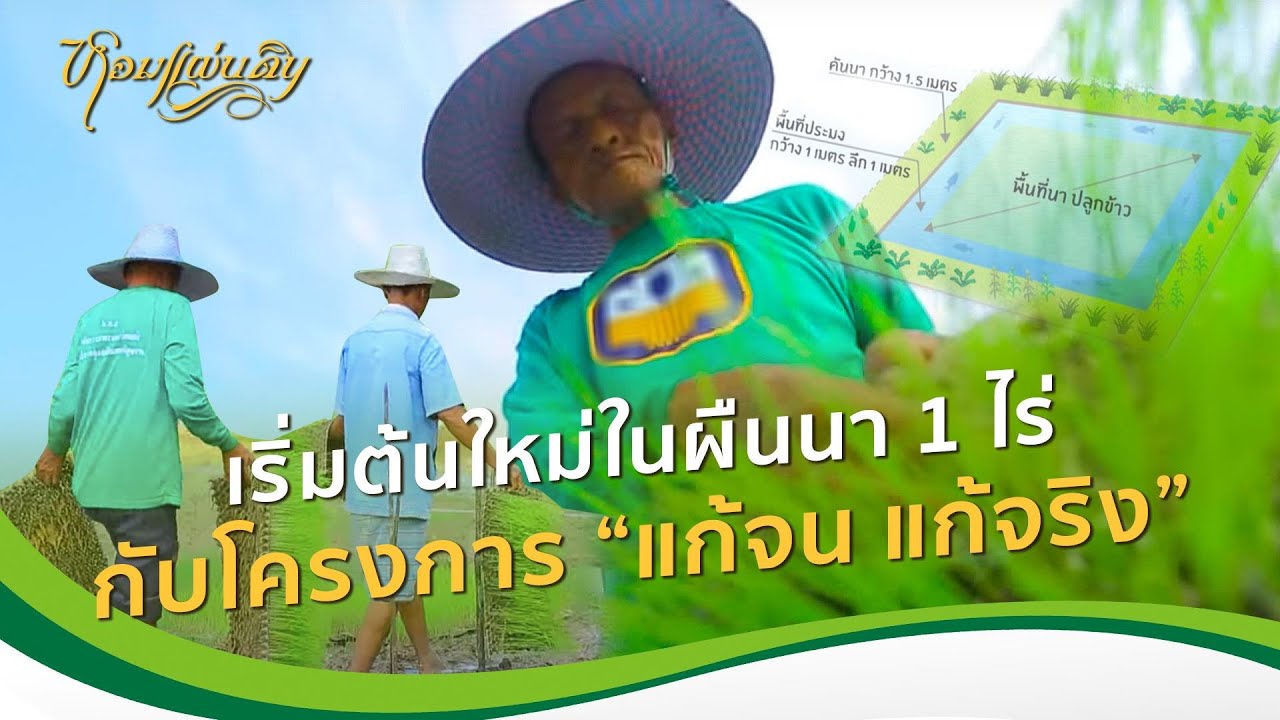 หอมแผ่นดิน ตอน ในน้ำไม่ได้มีแค่ปลา ในนาไม่ได้มีแค่ข้าว | หลงอบายมุขจนสิ้นทุกสิ่ง ตั้งหลักใหม่ในนา 1
