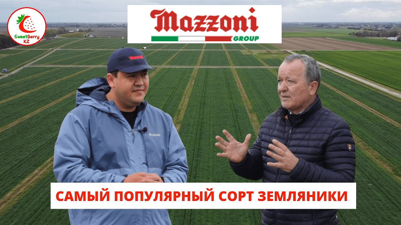 Интервью с питомником Mazzoni