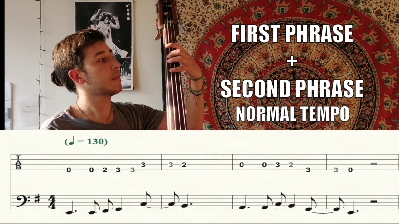 How to play FEEL GOOD INC. On the DOUBLE BASS (w/ tabs)