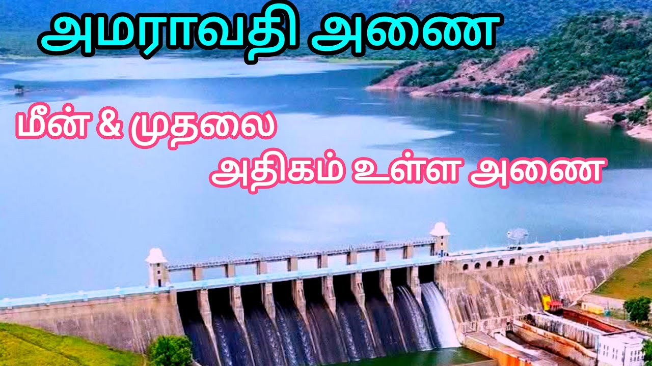 அமராவதி அணை, உடுமலைப்பேட்டை/தமிழ்நாட்டில் மீன்கள் மற்றும் முதலைகள் அதிகம் உள்ள அணை/Amaravathi Dam/