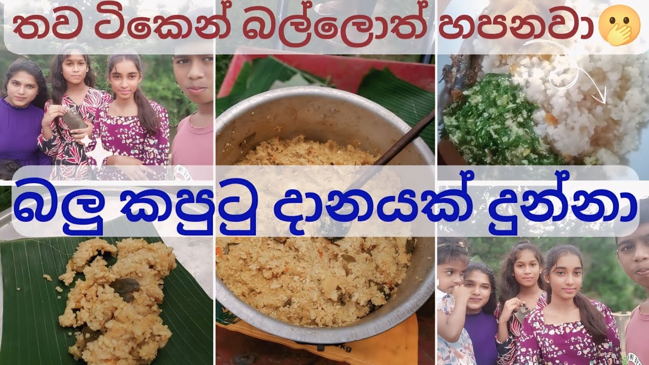 🍀Il Full Moon Poya Day 🙏|Dog and crow charity 🐕‍|