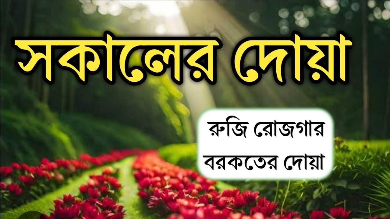 সকালটা শুরু হোক হৃদয় শীতল করা বরকতময় আয়াত দিয়ে। সকালের দোয়া ও জিকির। Morning Dua l By Alaa Aqel