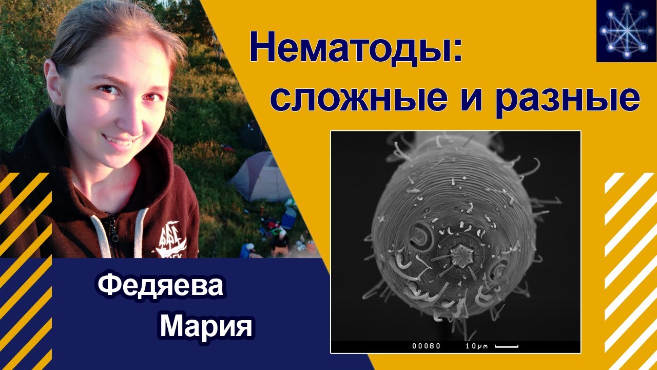 &laquo;Нематоды: сложные и разные&raquo;. Мария Федяева