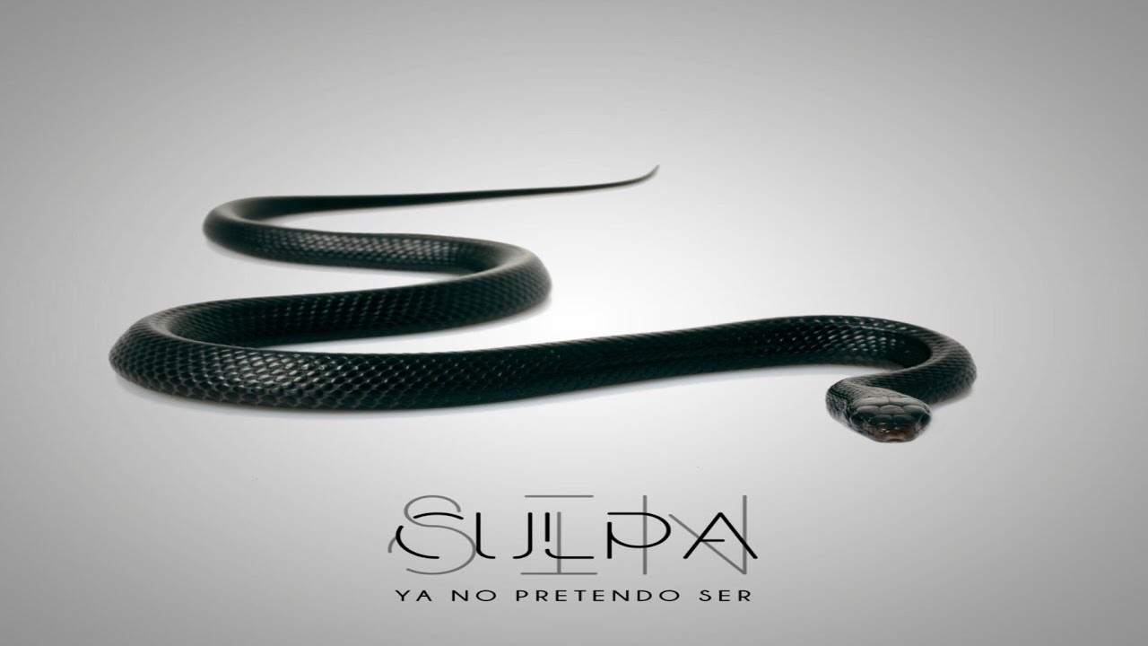 SIN CULPA YA NO PRETENDO SER