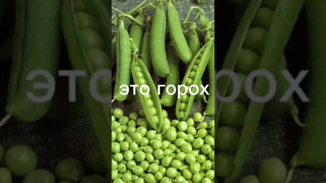 мох, горох, а ты лох
