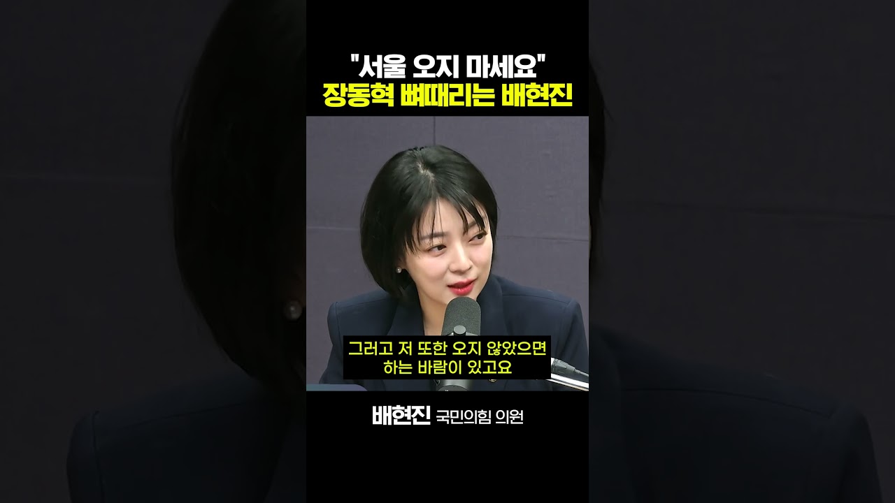 배현진 