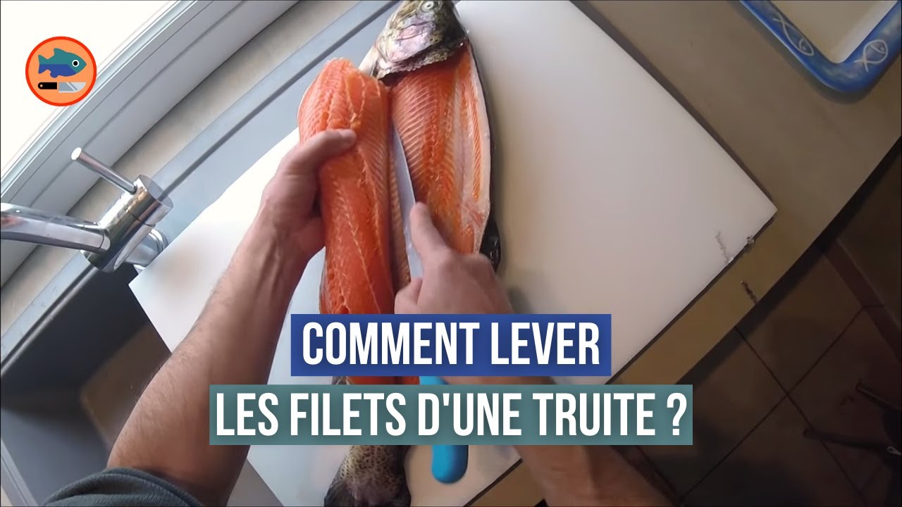 Comment fileter une truite ?