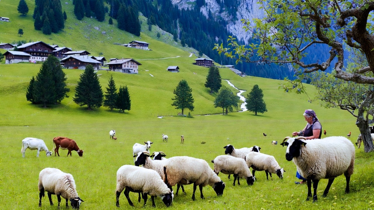 Paradise in Switzerland on a Rainy Day - Beautiful Harvest Day & Simple Rural Living