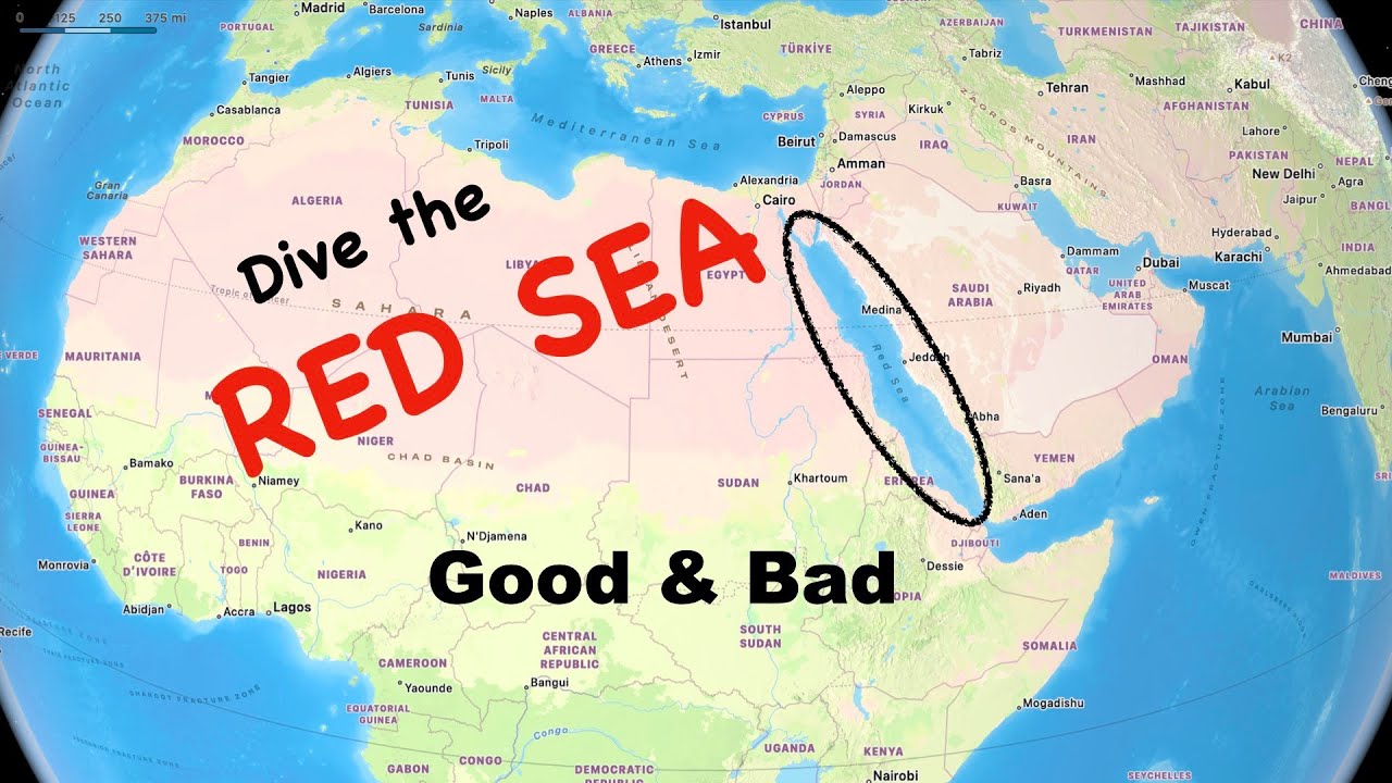 Dive the Red Sea