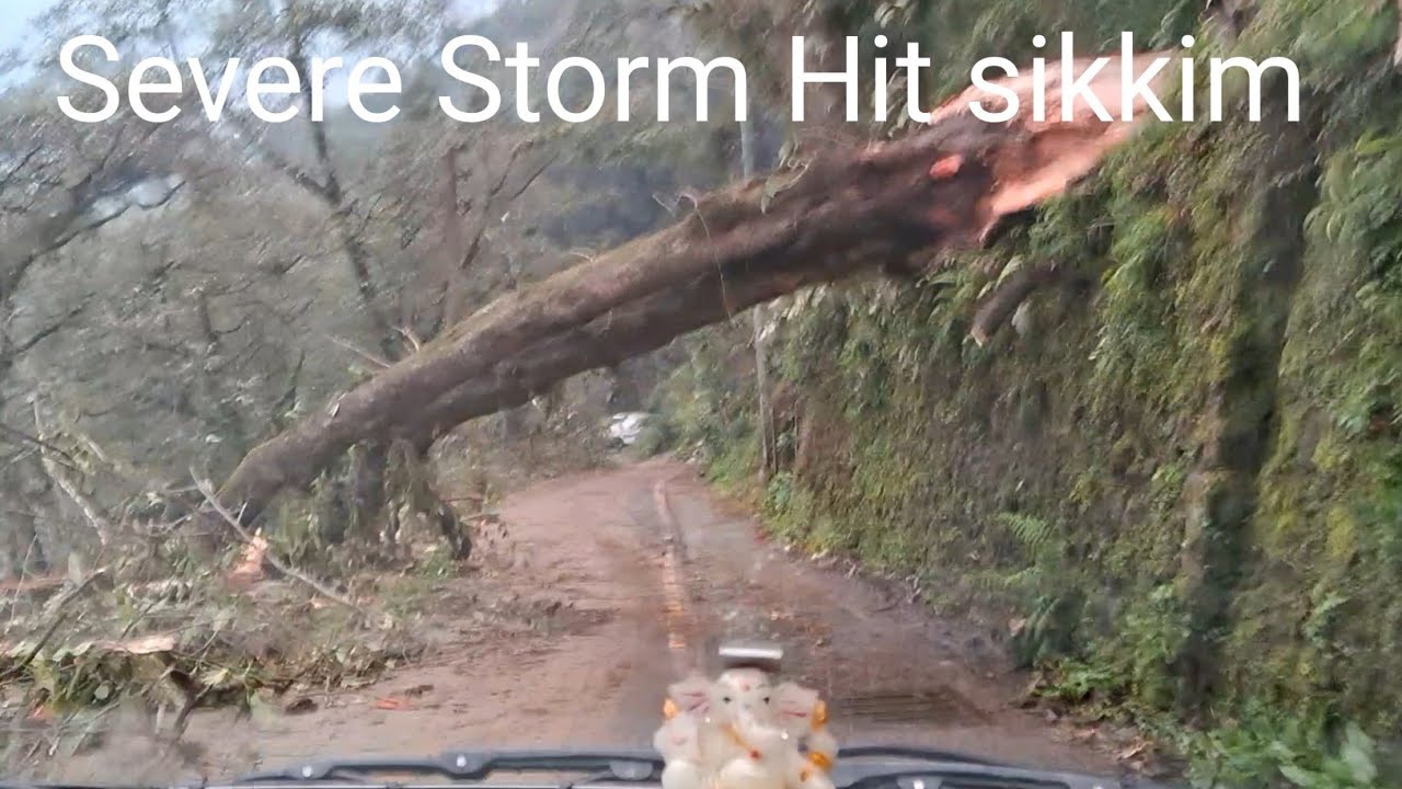 Strom hits hill station falling trees in roads disturbing/gangtok/sikkim 