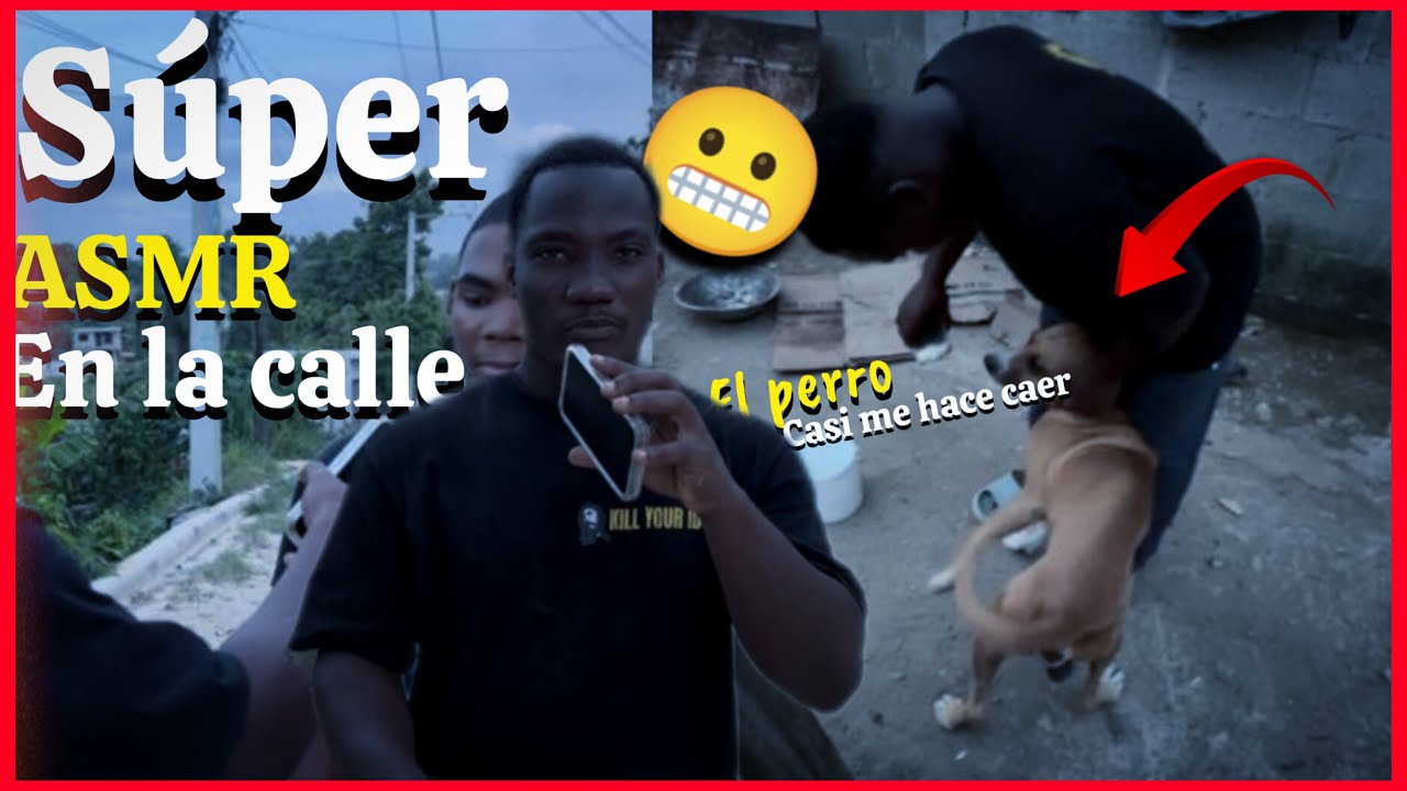 ❌ SUPER ASMR EN LA CALLE CON EL PEROO 🐶 y ME INTENTA HACER CAER ❌