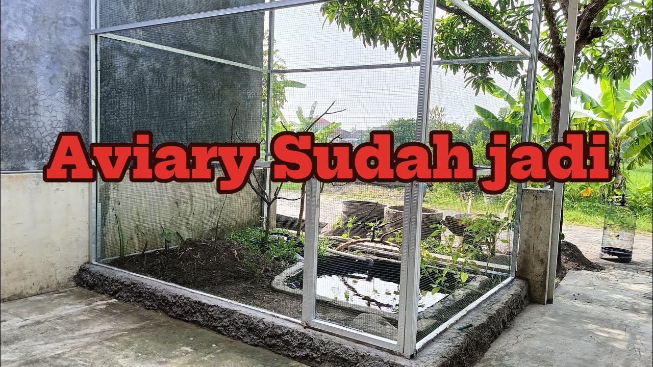 Alhamdulillah...Aviary Mini Di Depan Rumah Sudah Jadi