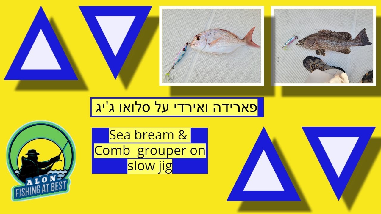 Sea bream and comb grouper on slow jig - EN subs