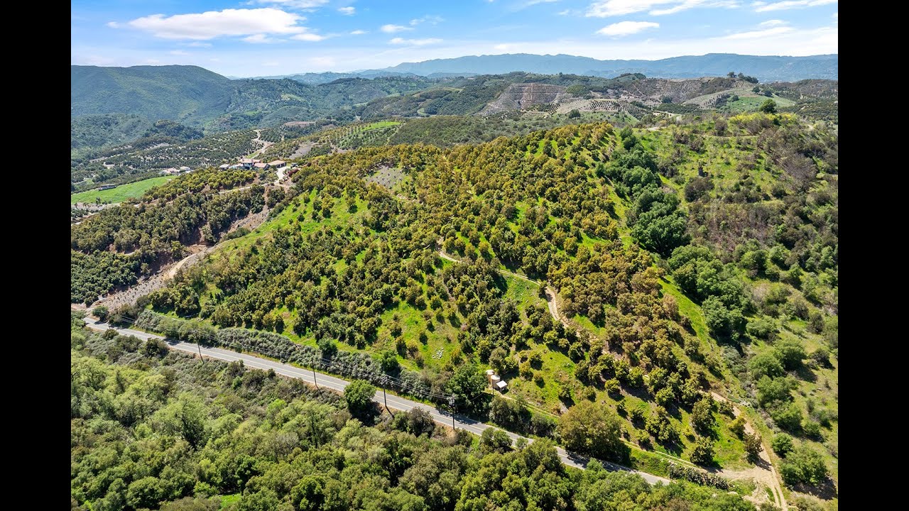 ORGANIC AVOCADO FRAM- 48825 Via Vaquero, Temecula, CA- branded