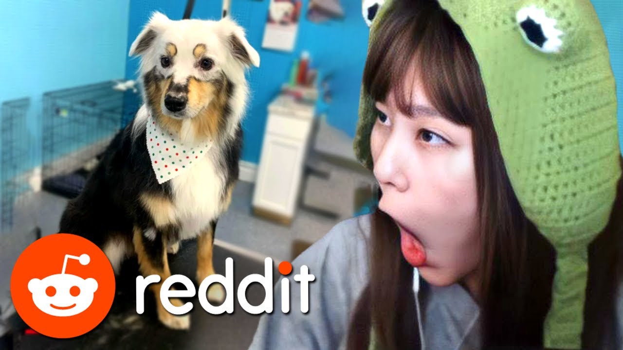 39daph Reacts to Reddit #50