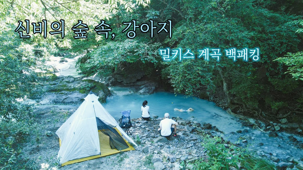 동화같은 뽕따계곡! 박지를 찾아라 / 반려견동반