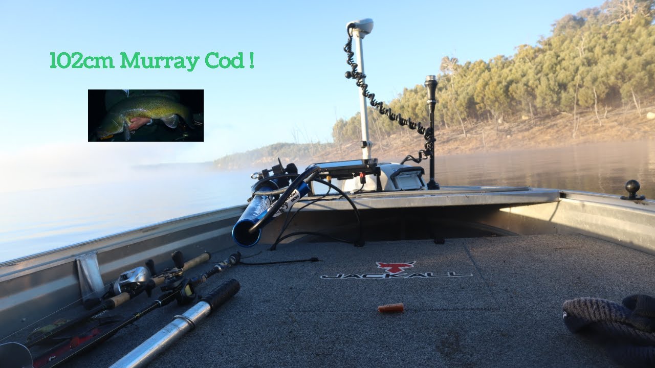 COPETON DAM METERY ! - codaddiction ep6