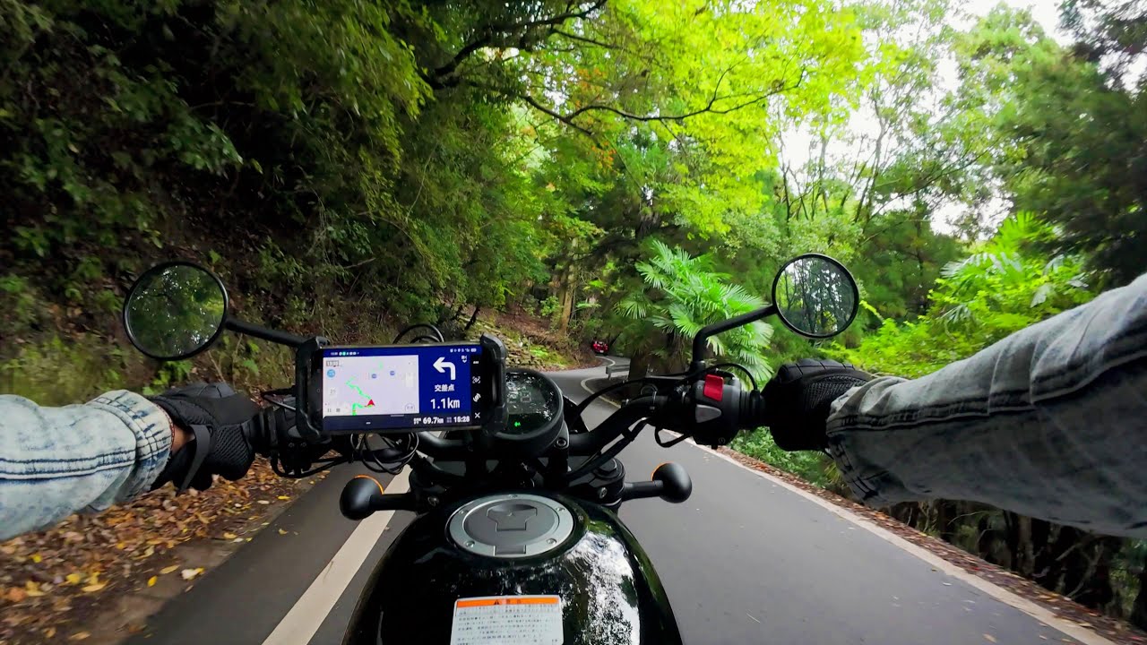 Calm Engine Rumble Through Lush Greenery