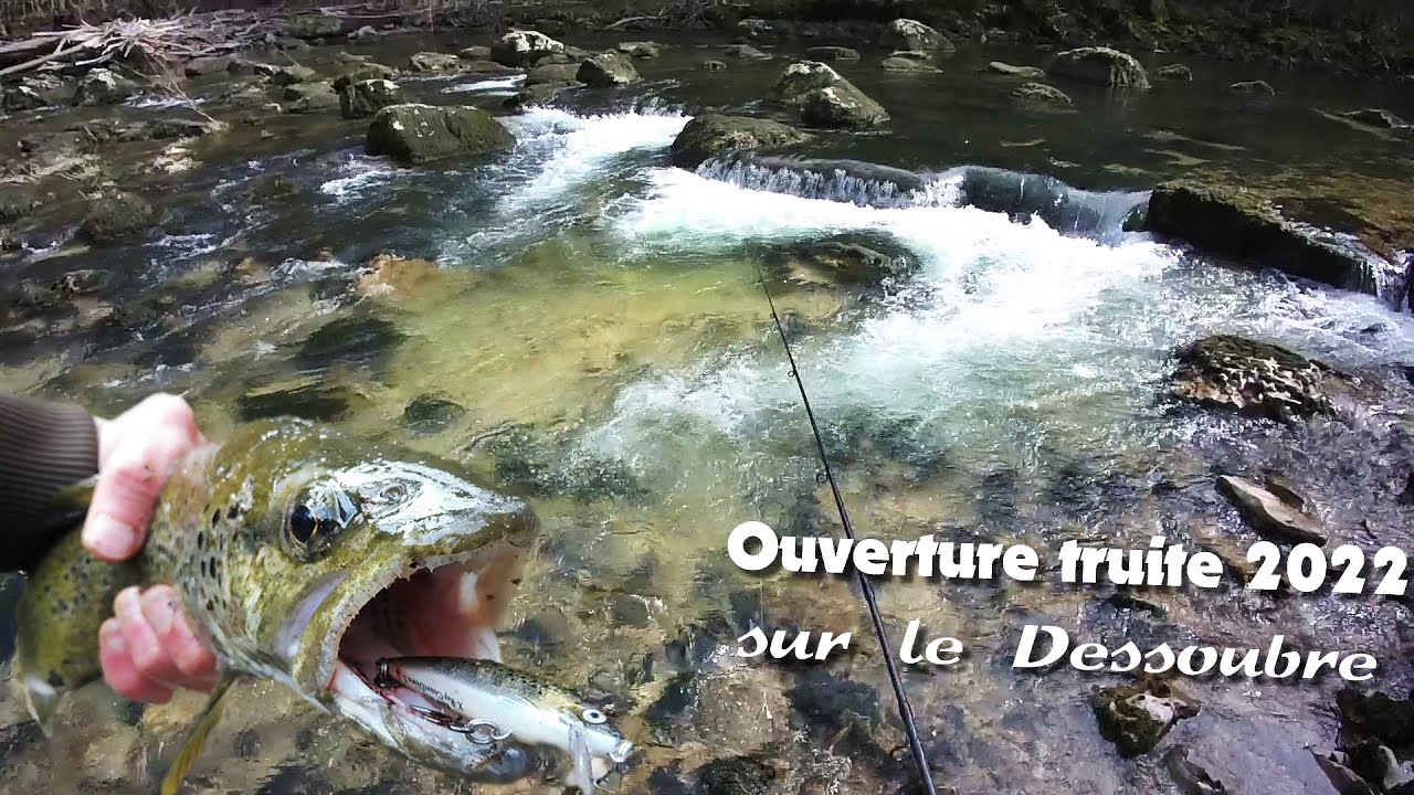 Dessoubre - Ouverture truite 2022 : de belles retrouvailles !