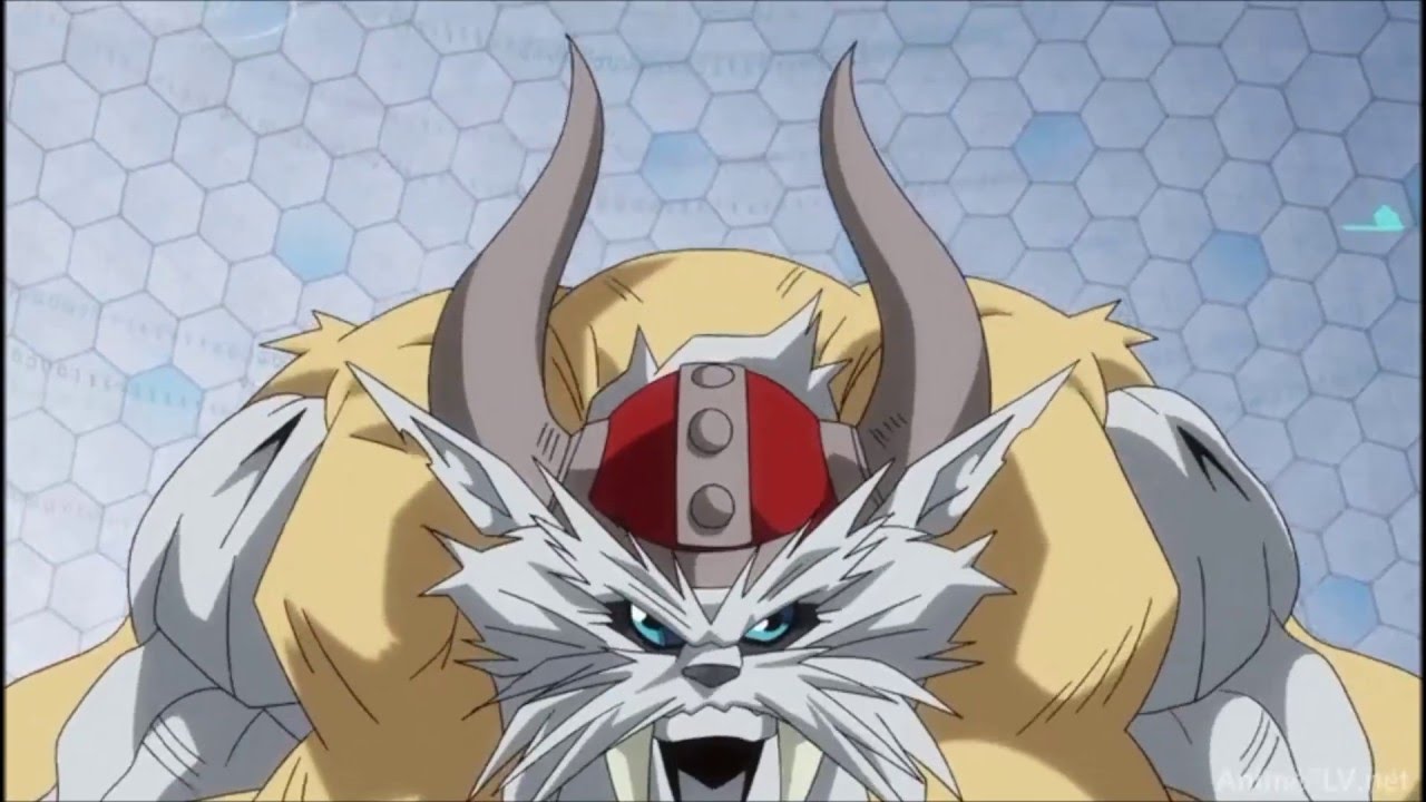 Digimon Adventure Tri (Digievolucion de Gomamon)