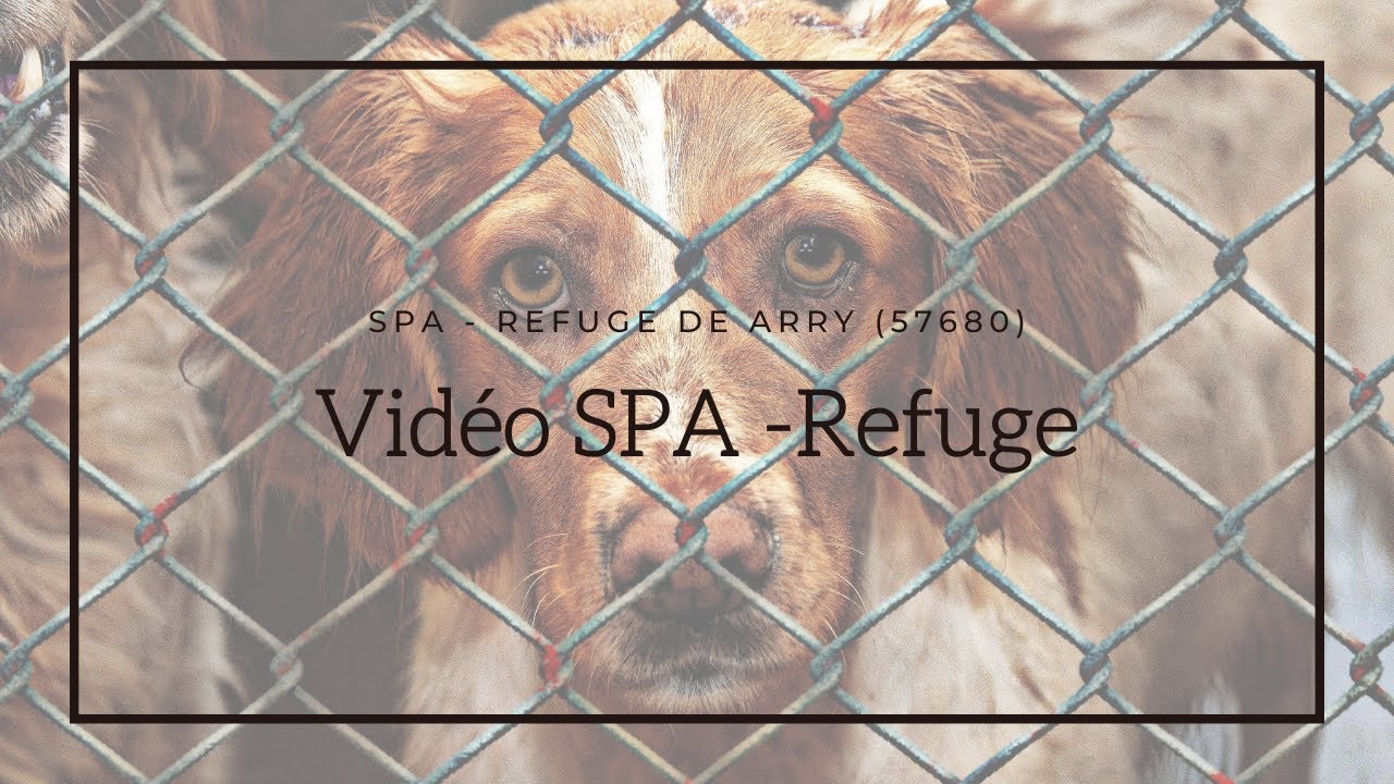 Vidéo - SPA - Refuge de Arry