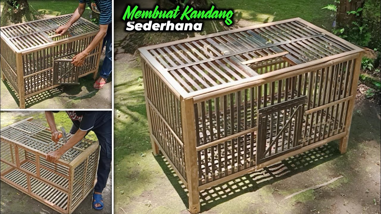 MEMBUAT KANDANG AYAM SEDERHANA | Box anak ayam