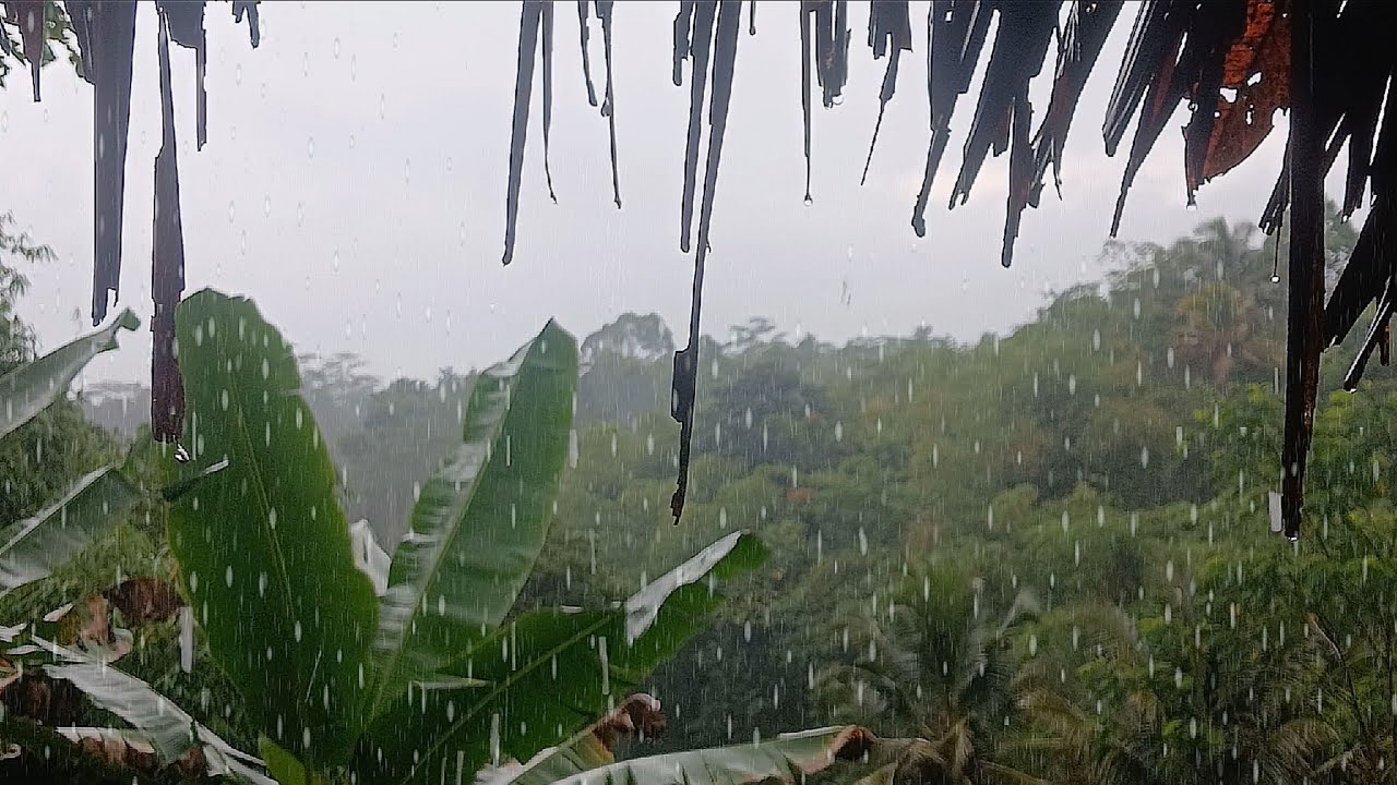 Сильный дождь для мгновенного спокойствия 🌧️ | Спите глубже, восстанавливайтесь быстрее, чувствуйте