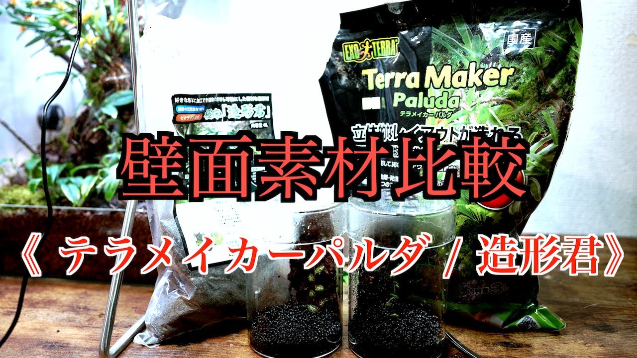 【新製品レビュー】意外と質感が違う GEX「テラメイカーパルダ」と ピクタ「造形君」を比較してみる【パルダリウム】