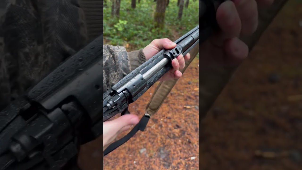 Winchester Model 70 270 win