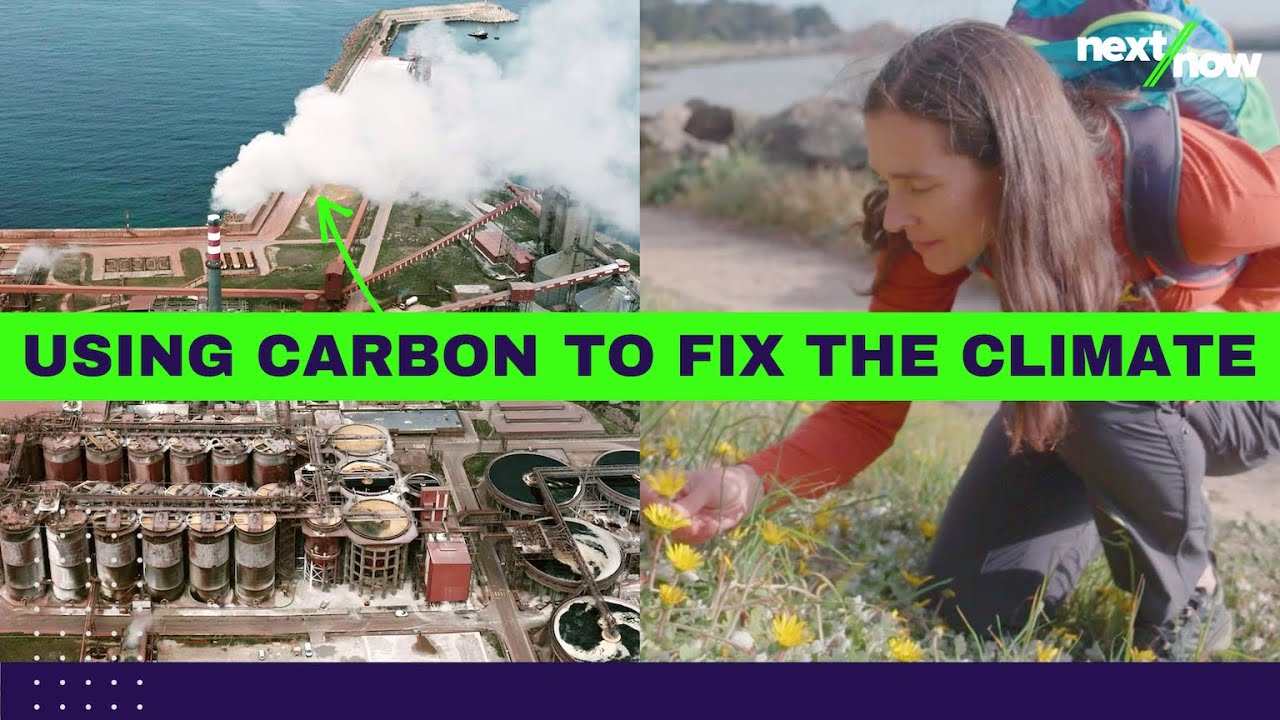 Closing the Loop on Carbon Emissions | Twelve