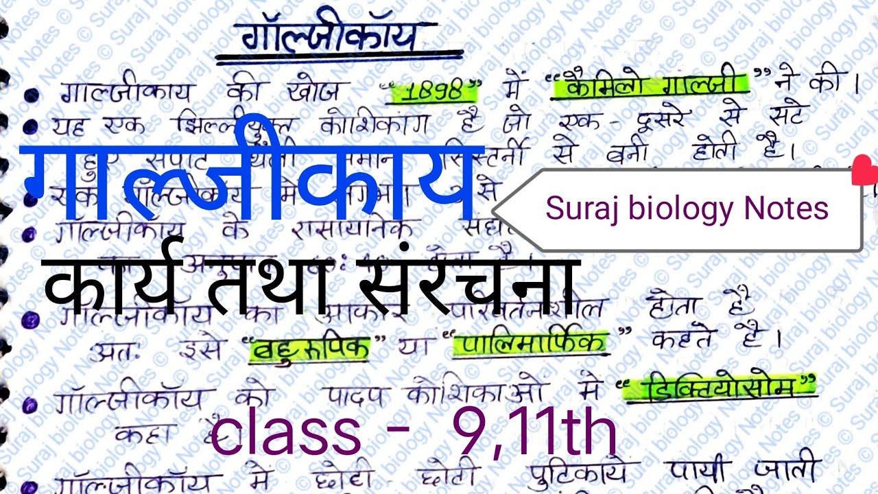Golgi Body in Hindi | गॉल्जीकाय की संरचना और कार्य | Class 9,10,11 Biology l Suraj biology notes 