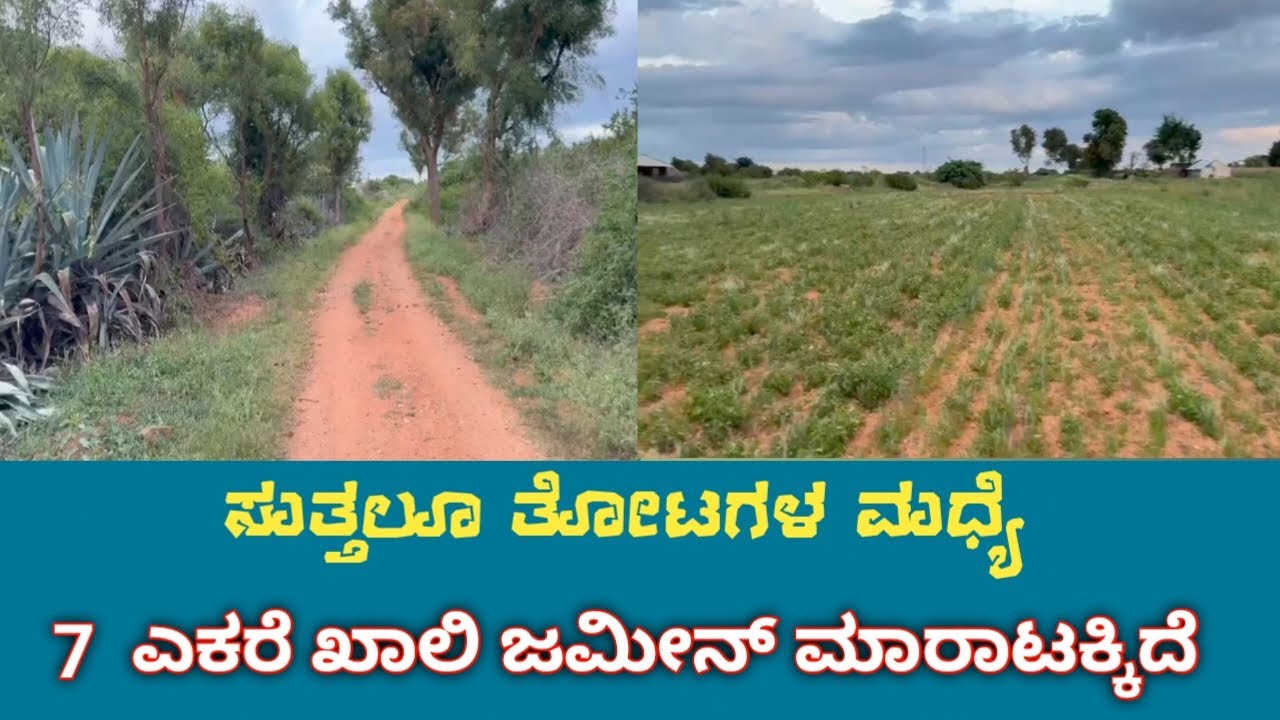 General Property Agriculture Land for Sale Near Challakere Chitradurga District