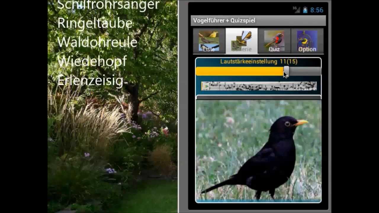 Bird Guide + Quiz Game  (Vogelf&uuml;hrer und Quizspiel)