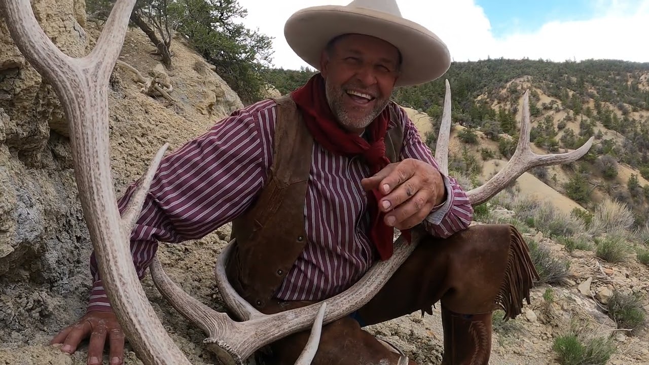 Video 10 - Horses VS. Mules