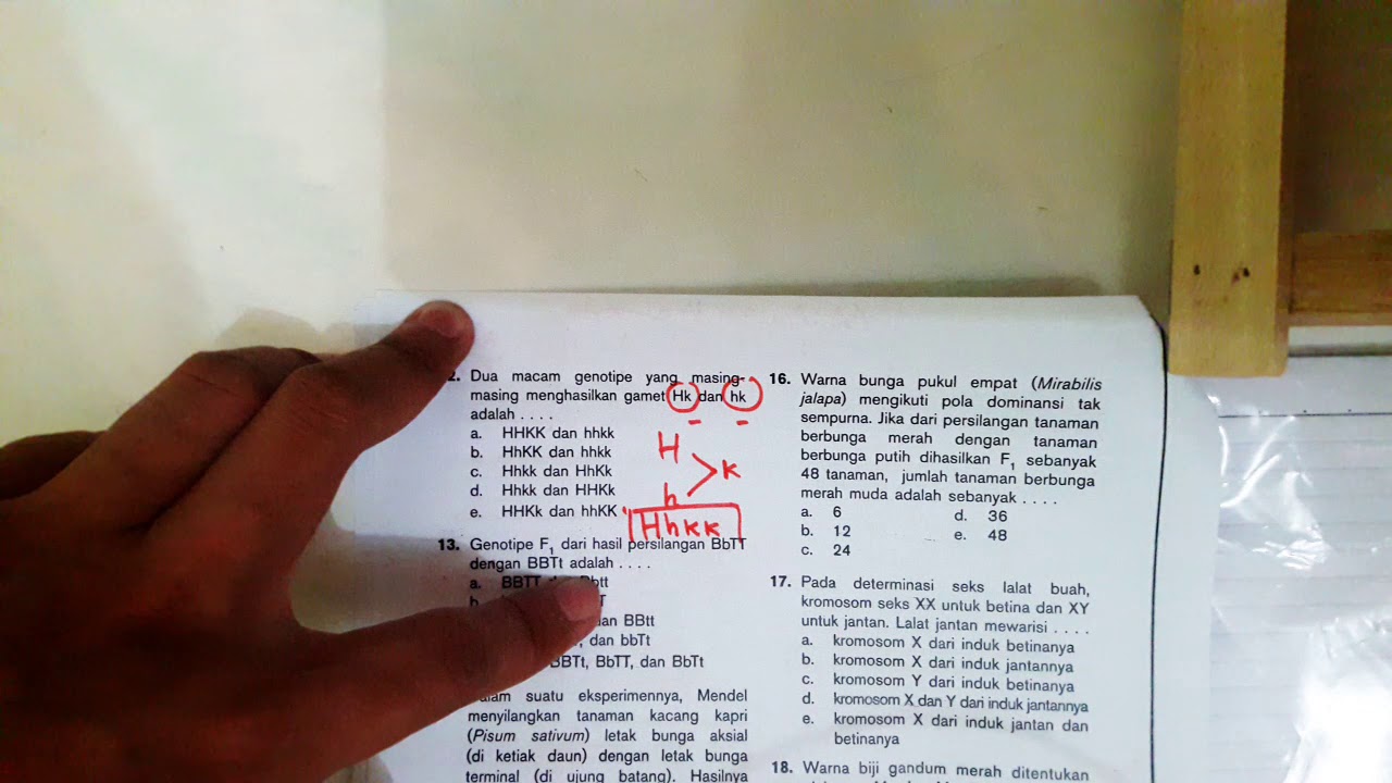 Soal Hereditas 12 SMA [Part - 1]