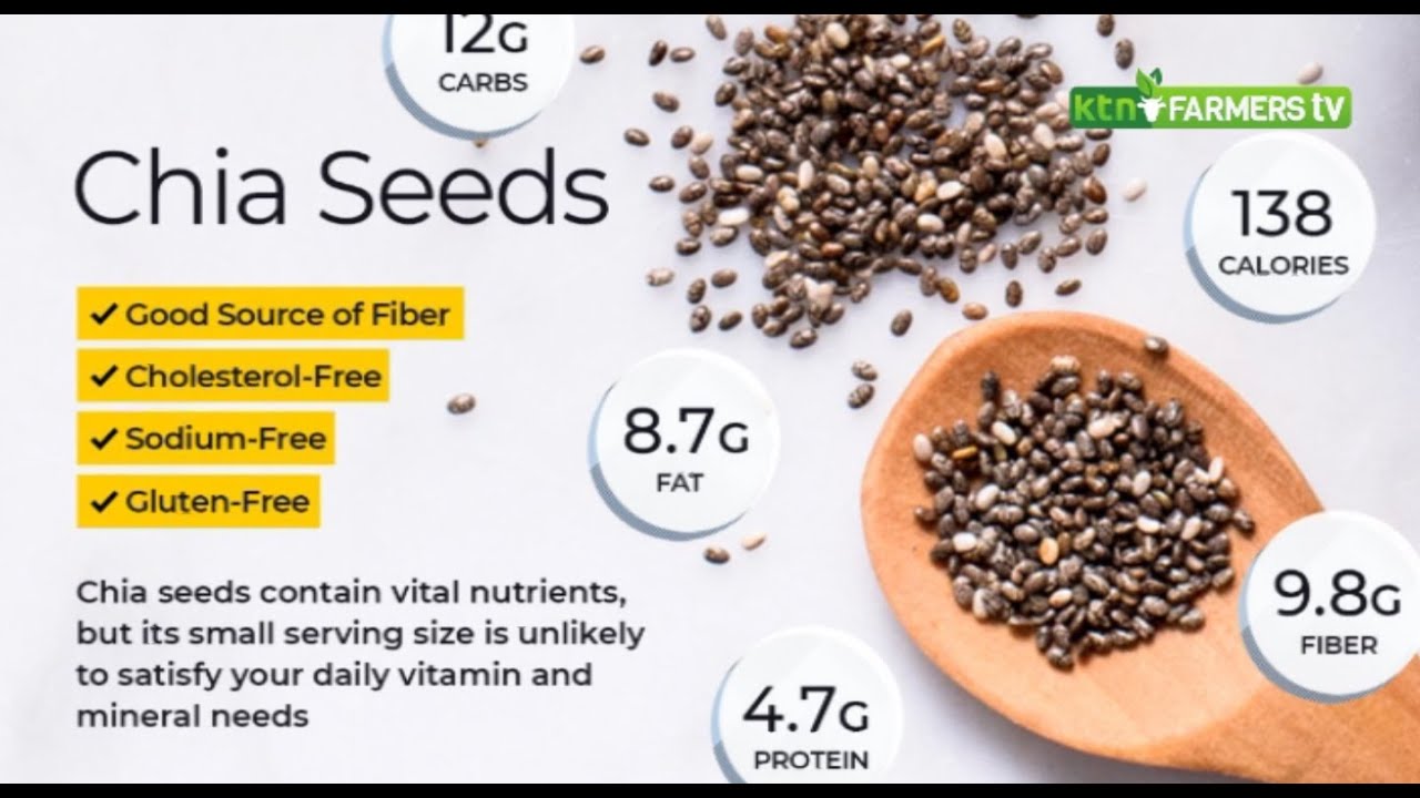 Teaching Organic Chia seeds farming in Kenya