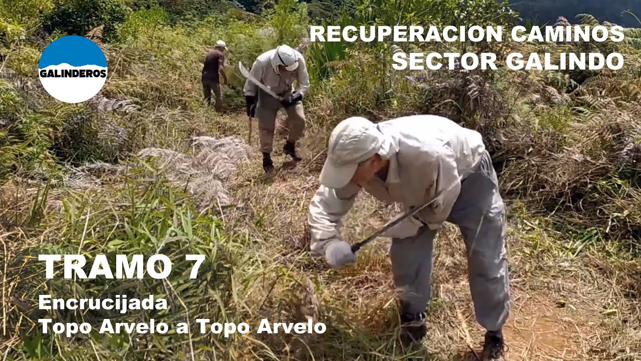 RECUPERACIÓN CAMINOS TRAMO 7 SECTOR GALINDO (Encrucijada Topo Arvelo al Topo Arvelo)  24/08/2024