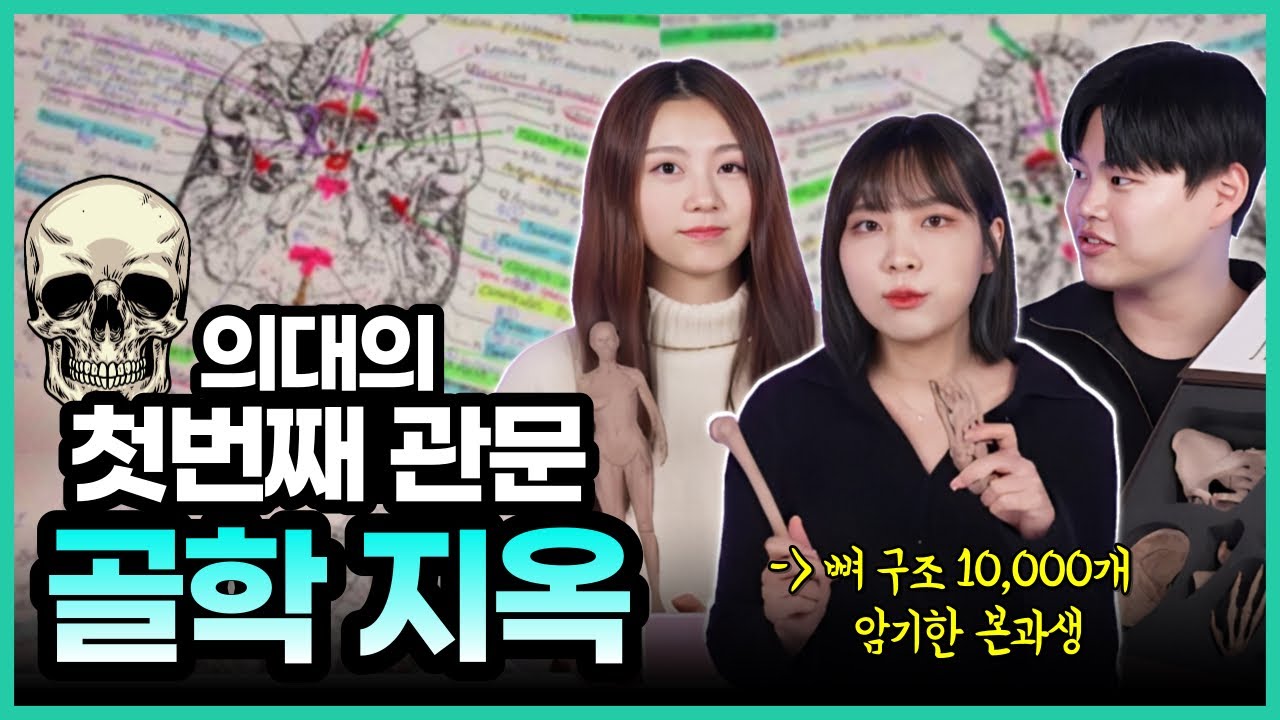 Eng sub) The first hell gate of Med school, 'Osteology'! (+ Med Life, Study, Memorization)