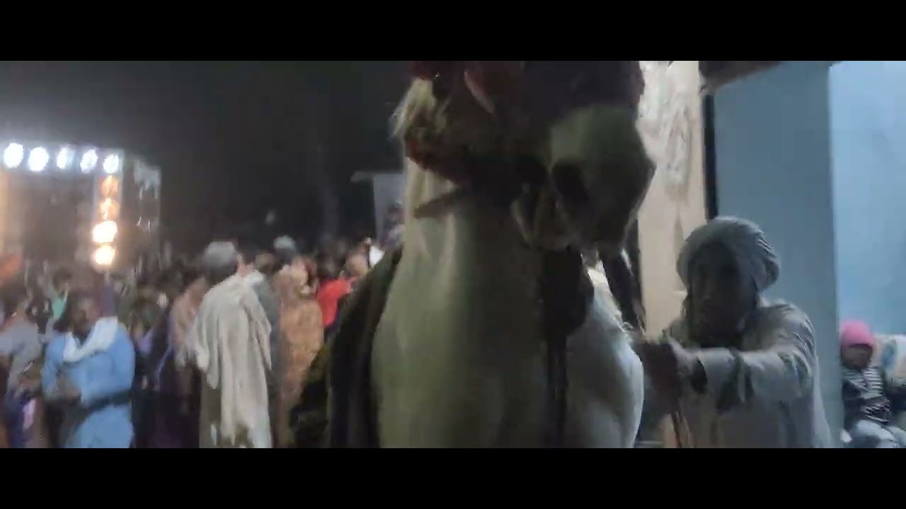 महोबा उत्तर प्रदेश चरखारी गांव बमरारा का घोड़ा का डांस