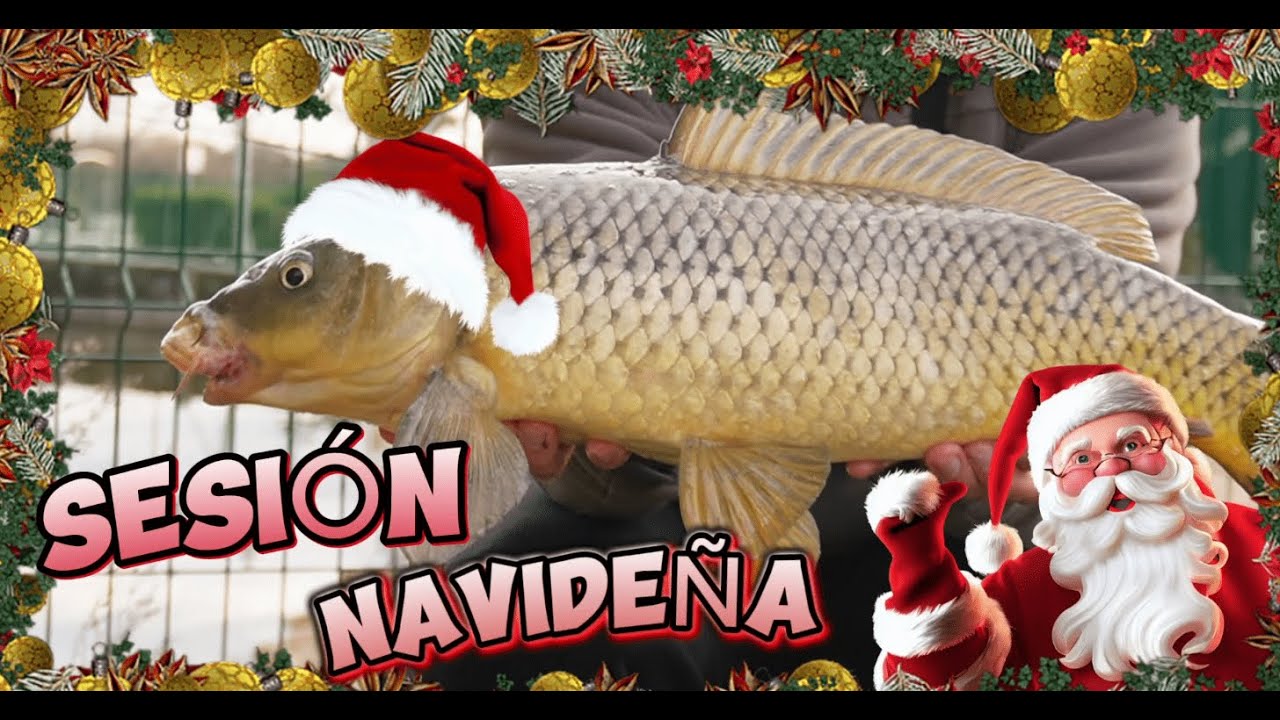 PESCA DE CARPAS EN NAVIDAD | CARPFISHING