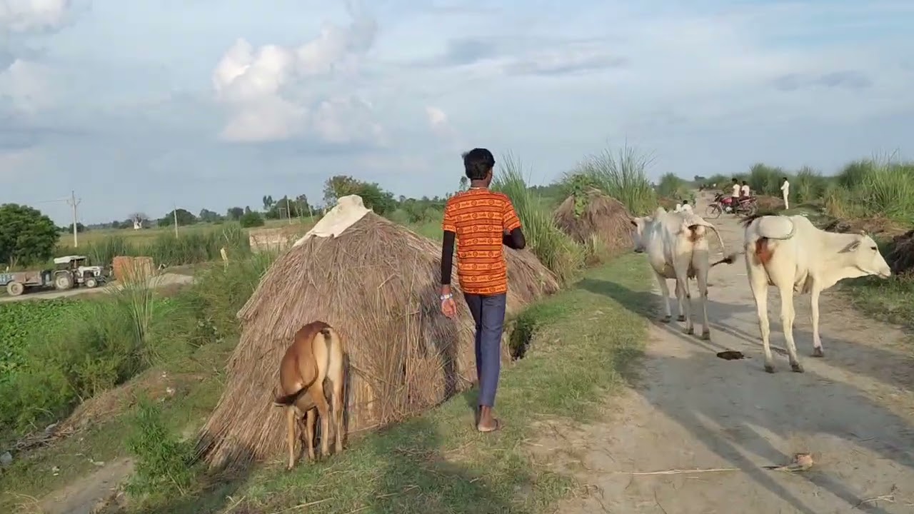 Sabhi doston hamare block m Manav Garib logon Ko block aur video hamari acchi Lage to jyada Se jyada