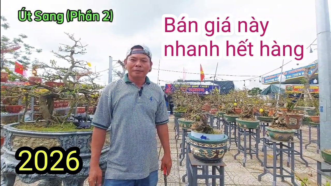 Mai vàng An Nhơn, giá này chơi được LH:0967514189