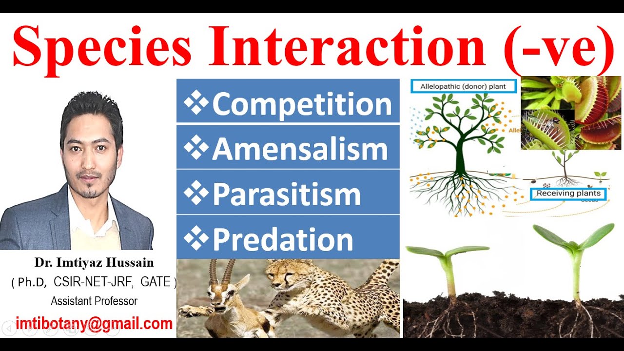 Species Interactions: Competition, Amensalism, Parasitism, Predation (negative Part I)