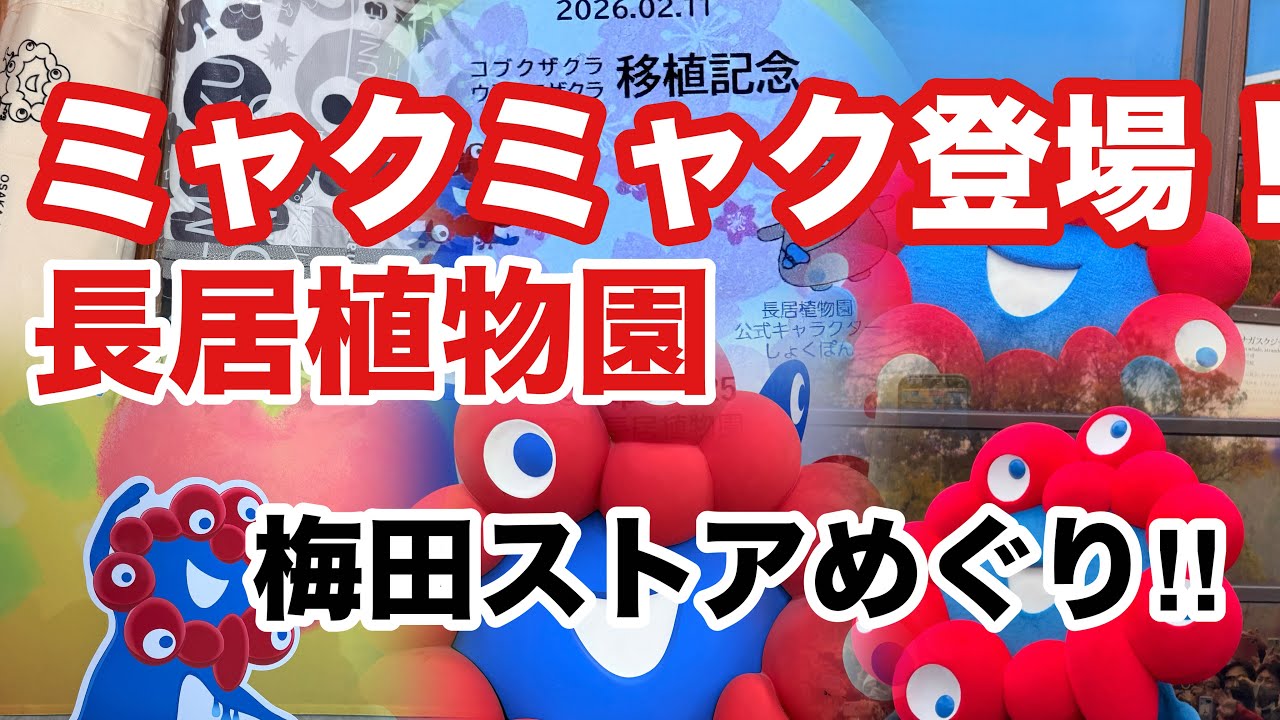 ［第369話］ミャクミャク長居植物園と梅田公式ショップ巡り【大阪関西万博】【ミャクミャク】【アフター万博】