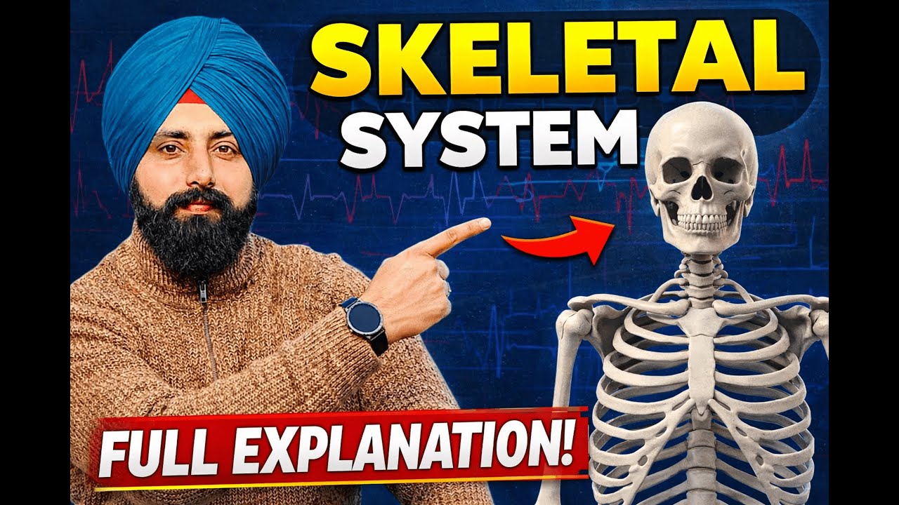 Skeletal System || PSTET Physical Education || PTI 2000 || NVS || KVS || Master cadre ||