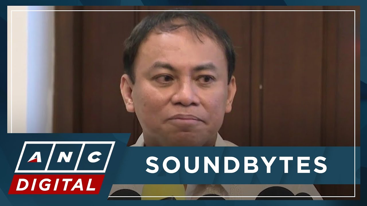 WATCH: Fredderick Vida faces media as acting Justice Secretary | ANC