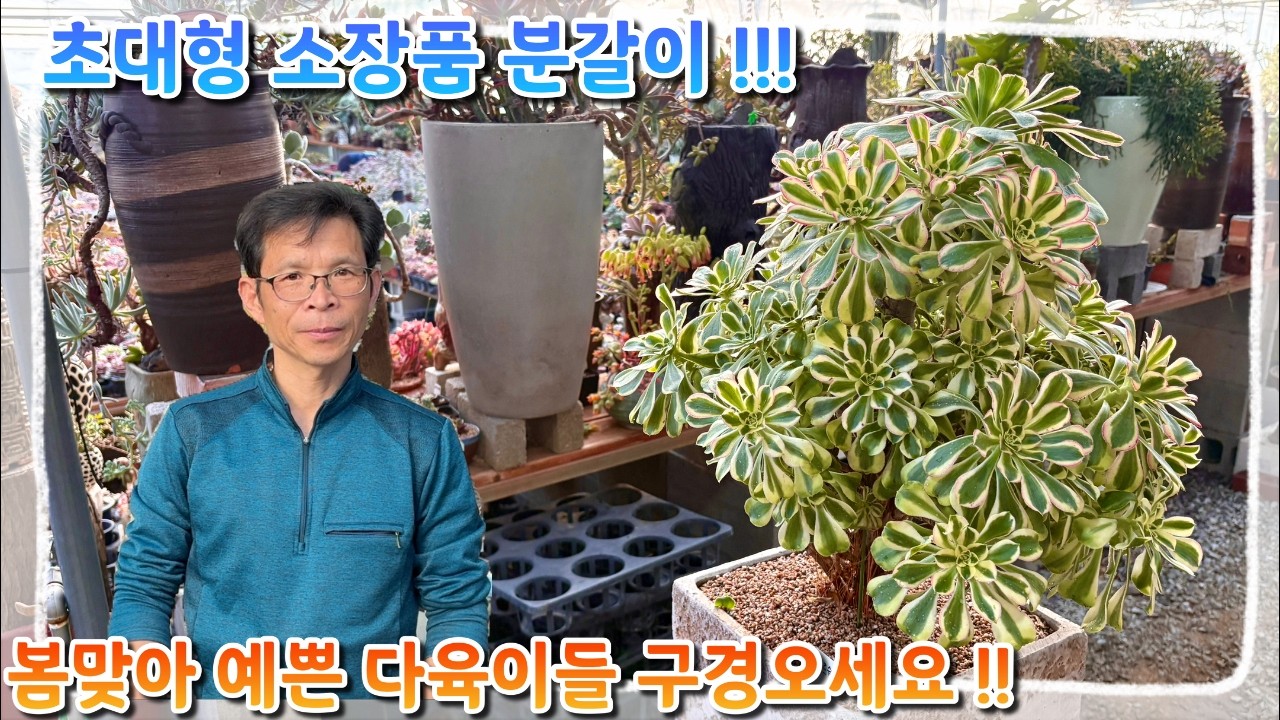 언제나 믿고보는 꽃이다 소장품 분갈이 !! 봄 맞아 예쁜 다육이들 구경오세요~!